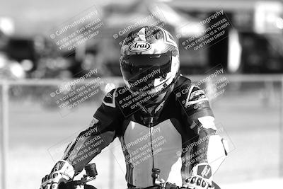 media/Feb-23-2025-2WTD (Sun) [[9604a77d5d]]/1-Around the Pits/